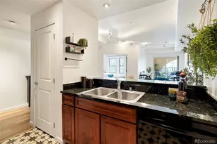 925 N Lincoln Street, Denver, CO 80203 - Photo 13