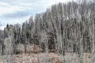 646 Antelope Way, Como, CO 80432 - Photo 1