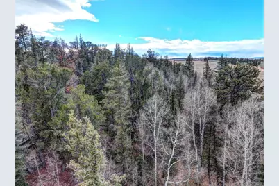 646 Antelope Way, Como, CO 80432 - Photo 3