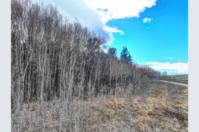 646 Antelope Way, Como, CO 80432 - Photo 7