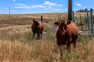 2151 Elizabeth Dr, Parker, CO 80138 - Photo 25
