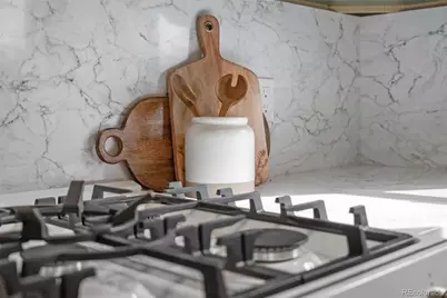 2226 S Corona Street, Denver, CO 80210 - Photo 21