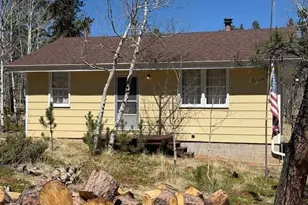 103 Baker Rd, Bailey, CO 80421 - Photo 1