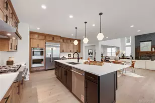 4620 Weitbrec Ln, Castle Rock, CO 80104 - Photo 5