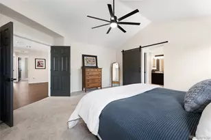 508 Winterthur Way, Highlands Ranch, CO 80129 - Photo 31