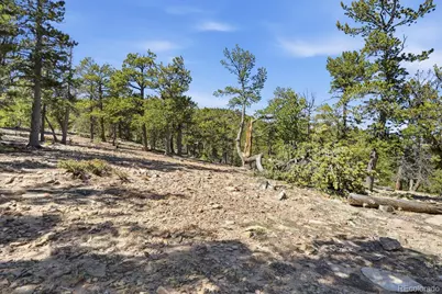 33149 Janelle Circle, Golden, CO 80403 - Photo 17
