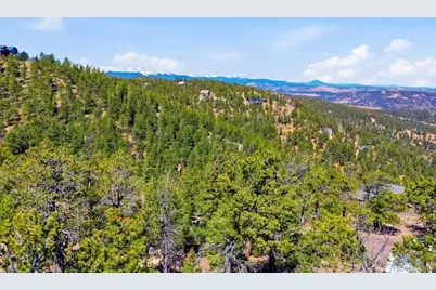 33149 Janelle Circle, Golden, CO 80403 - Photo 39