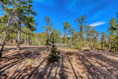 33149 Janelle Circle, Golden, CO 80403 - Photo 7
