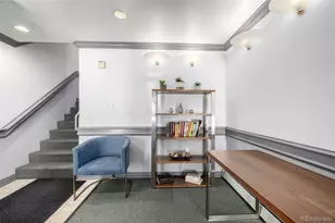 1833 N Williams St, Denver, CO 80218 - Photo 21