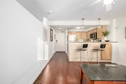 1833 N Williams Street #101, Denver, CO 80218 - Photo 15