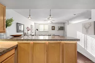 1833 N Williams St, Denver, CO 80218 - Photo 11