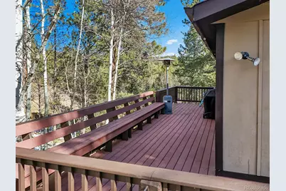 638 Impala Trail, Bailey, CO 80421 - Photo 29