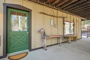 638 Impala Trail, Bailey, CO 80421 - Photo 37