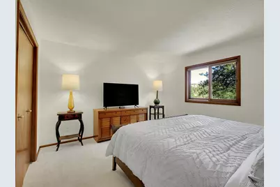 638 Impala Trail, Bailey, CO 80421 - Photo 17