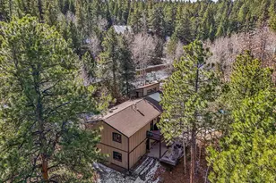638 Impala Trail, Bailey, CO 80421 - Photo 43