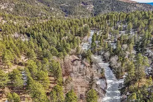 638 Impala Trail, Bailey, CO 80421 - Photo 45