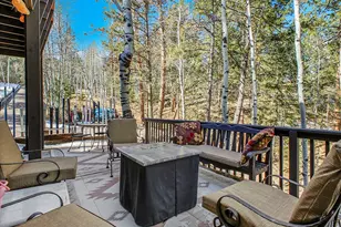 638 Impala Trail, Bailey, CO 80421 - Photo 43
