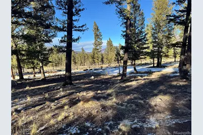 30470 Harvard Circle, Buena Vista, CO 81211 - Photo 5