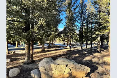 30470 Harvard Circle, Buena Vista, CO 81211 - Photo 1