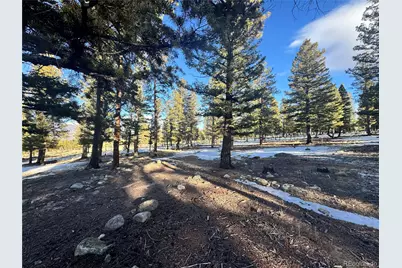 30470 Harvard Circle, Buena Vista, CO 81211 - Photo 3