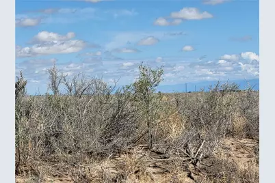 0000 Forest Drive, Alamosa, CO 81101 - Photo 11