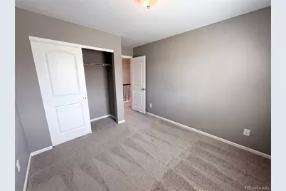 2450 Garganey Drive, Castle Rock, CO 80104 - Photo 19