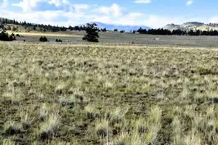 599 Summit Rd, Hartsel, CO 80449 - Photo 1