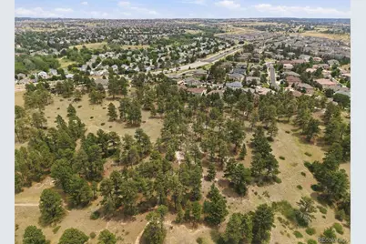 11941 S Longs Bluff Lane, Parker, CO 80134 - Photo 49