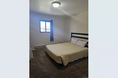 302 Miranda Avenue, Fort Garland, CO 81133 - Photo 29