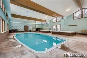 160 E La Bonte, Dillon, CO 80435 - Photo 21