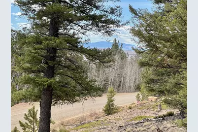 2601 Redhill Road, Fairplay, CO 80440 - Photo 27