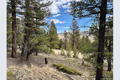 2601 Redhill Road, Fairplay, CO 80440 - Photo 25