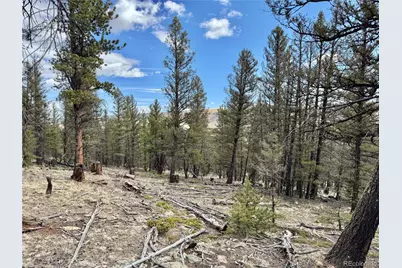 2601 Redhill Road, Fairplay, CO 80440 - Photo 23