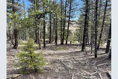 2601 Redhill Road, Fairplay, CO 80440 - Photo 3