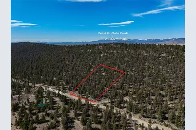 2601 Redhill Road, Fairplay, CO 80440 - Photo 9