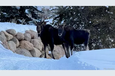 328 Raven Golf Lane, Silverthorne, CO 80498 - Photo 25