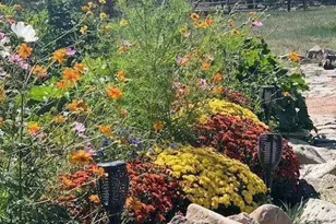 484 Gordon Dr, Walsenburg, CO 81089 - Photo 41