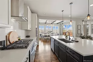 11127 Pastel Point, Parker, CO 80134 - Photo 7