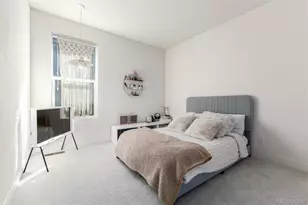 10246 E 59th Pl, Denver, CO 80238 - Photo 23