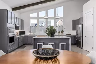 10246 E 59th Pl, Denver, CO 80238 - Photo 15