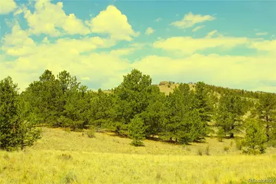 60 Hill Road, Hartsel, CO 80449 - Photo 11