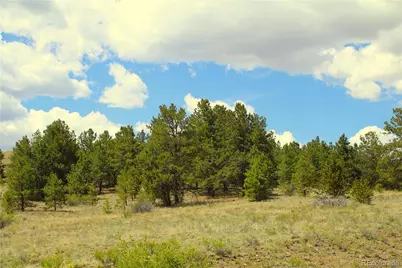 60 Hill Road, Hartsel, CO 80449 - Photo 15