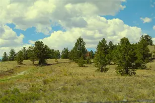 60 Hill Rd, Hartsel, CO 80449 - Photo 1