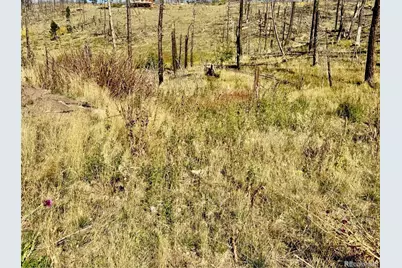Lot 1005 Foy Place, Fort Garland, CO 81133 - Photo 13