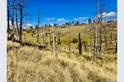Lot 1005 Foy Place, Fort Garland, CO 81133 - Photo 3