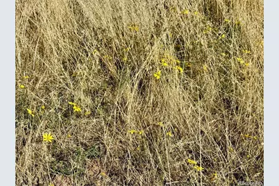 Lot 1005 Foy Place, Fort Garland, CO 81133 - Photo 11