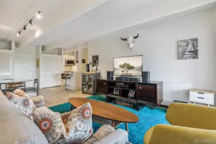 1255 N Ogden St, Denver, CO 80218 - Photo 1