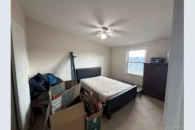 131 Dillon Lane, Florissant, CO 80816 - Photo 7