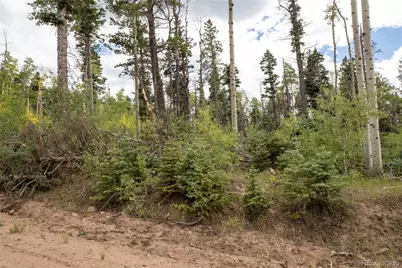 Lot 2614 Petito Drive, Fort Garland, CO 81133 - Photo 1