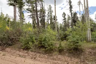 Lot 2614 Petito Dr, Fort Garland, CO 81133 - Photo 1